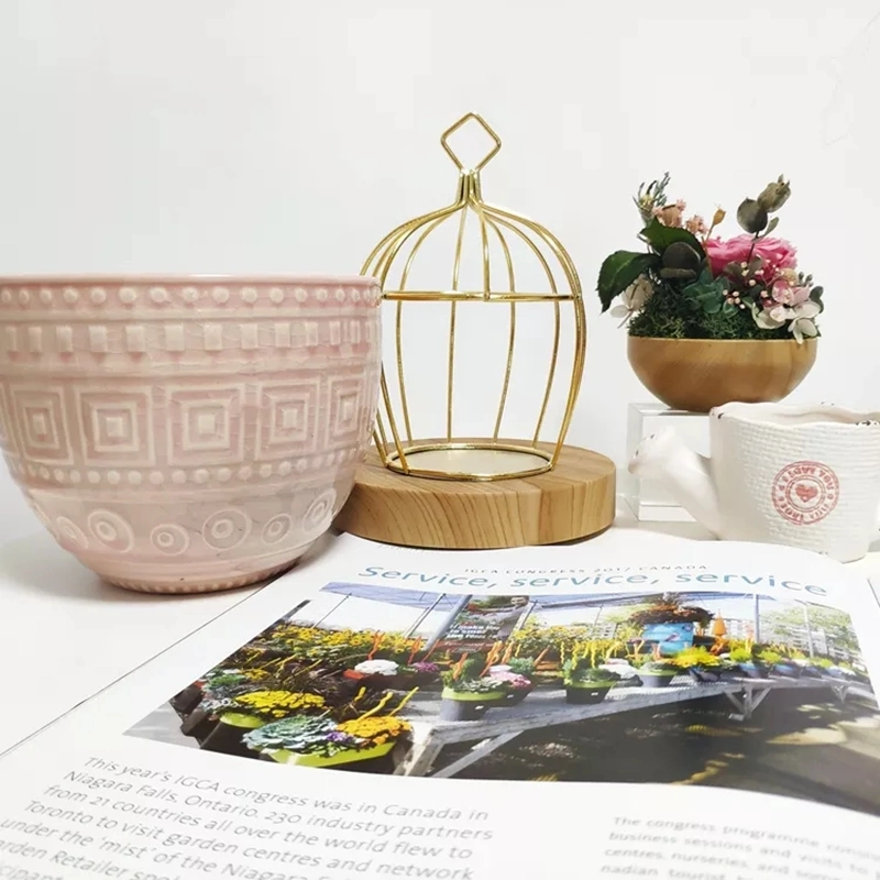 Own Factory Ceramic Flower Pots for Home Garden Supplies