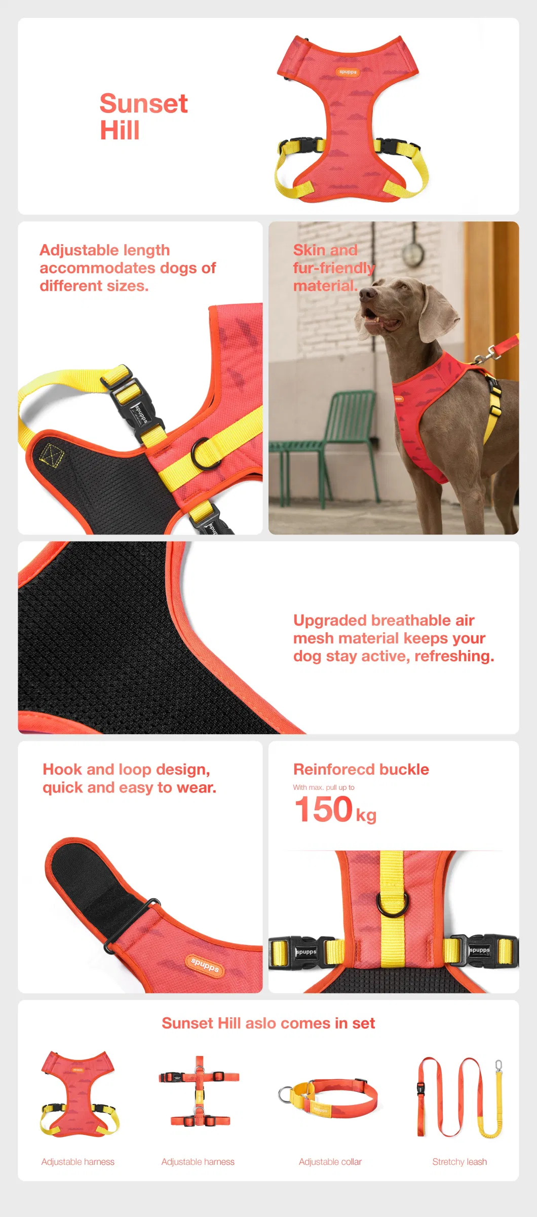 Adjustable Mesh Pet Harness with Reflective Strips