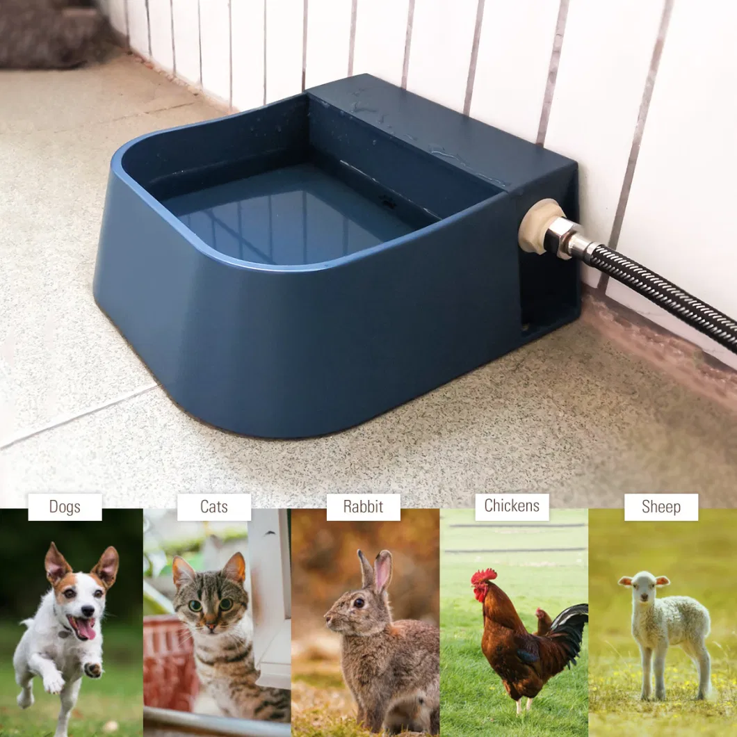 Pet Bowl Feeder Dog Bowl Automatic Storage Drinking Fountain Pet Food Basin Pet Supplies