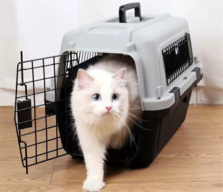 Wholesale Pet Carrier Airline Approved Plastic Wire Door Dog Crate