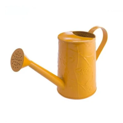 Classic Gold Watering Can for Plants