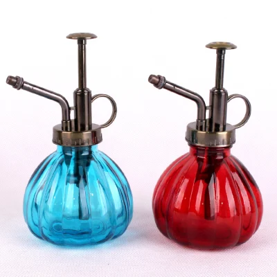 Glass Water Spray Bottle Small Watering Can with Sprinkler